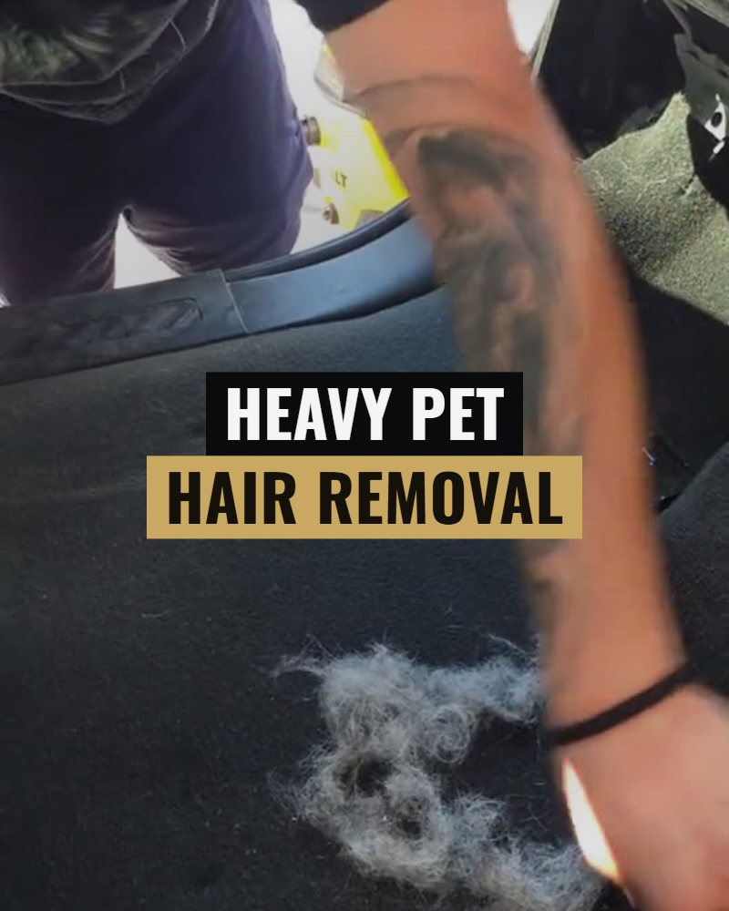 Heavy pet hair removal: woven-in hair lifted out of a truck cab carpet